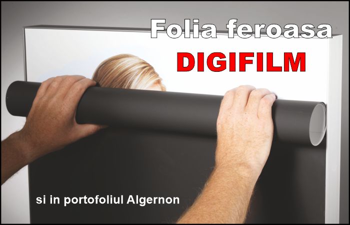 Algernon